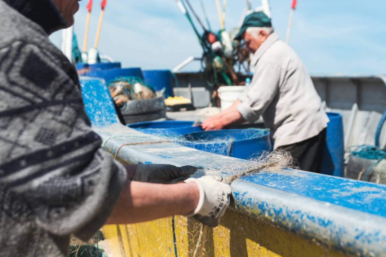 Komisja Europejska zaproponowała skrajne rozwiązanie do ratowania ryb na Bałtyku.