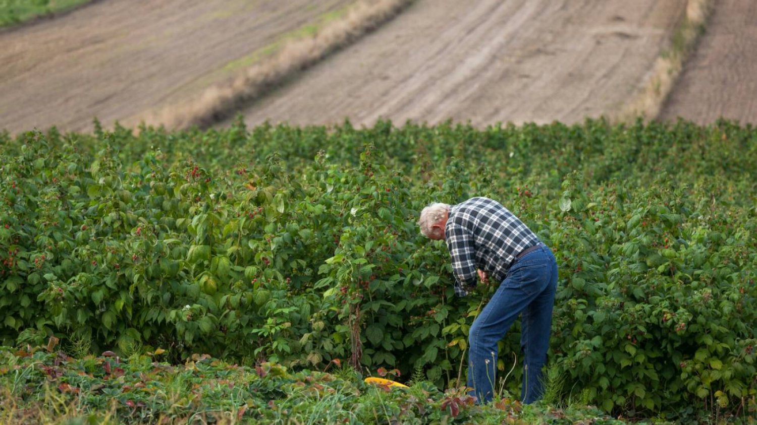 Emigranci chcą do nas przyjeżdżać, ale nie jest im łatwo z biurokracją.