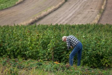 Emigranci chcą do nas przyjeżdżać, ale nie jest im łatwo z biurokracją.