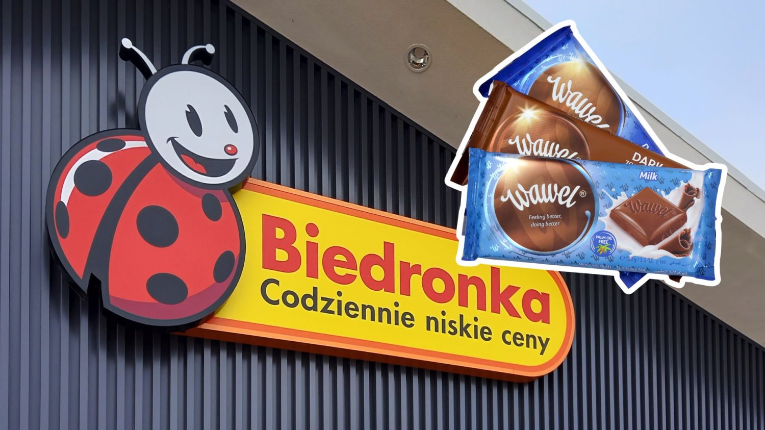 Logo sklepu Biedronka. Czekolady marki Wawel.