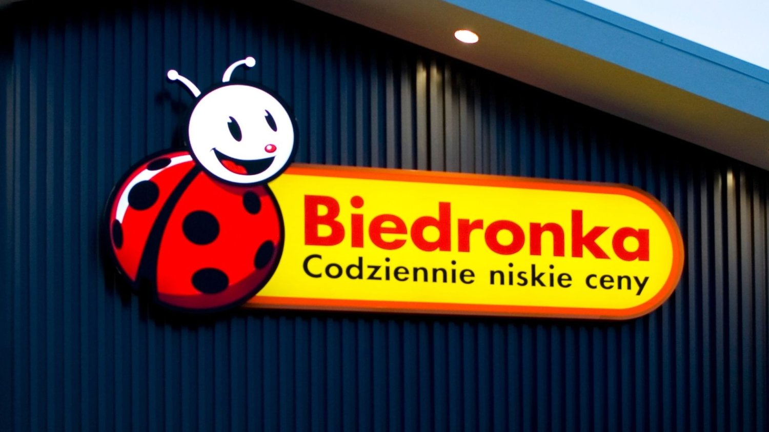 Promocja na kapsułki Fairy w Biedronce. Bedzie wyścig szczurów, ale jest haczyk. Sklep Biedronka.
