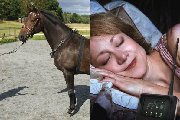 Odbiornik horseAlarm zadzwoni jeśli stan zdrowia konia drastycznie się pogorszy.