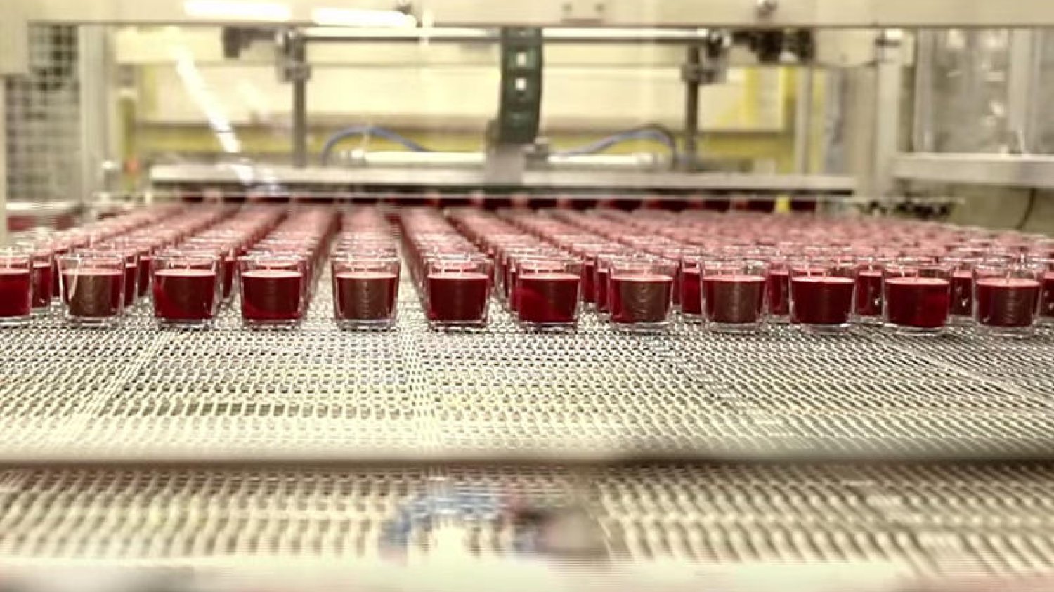 Korona Candles jest jednym z największych światowych producentów świec.