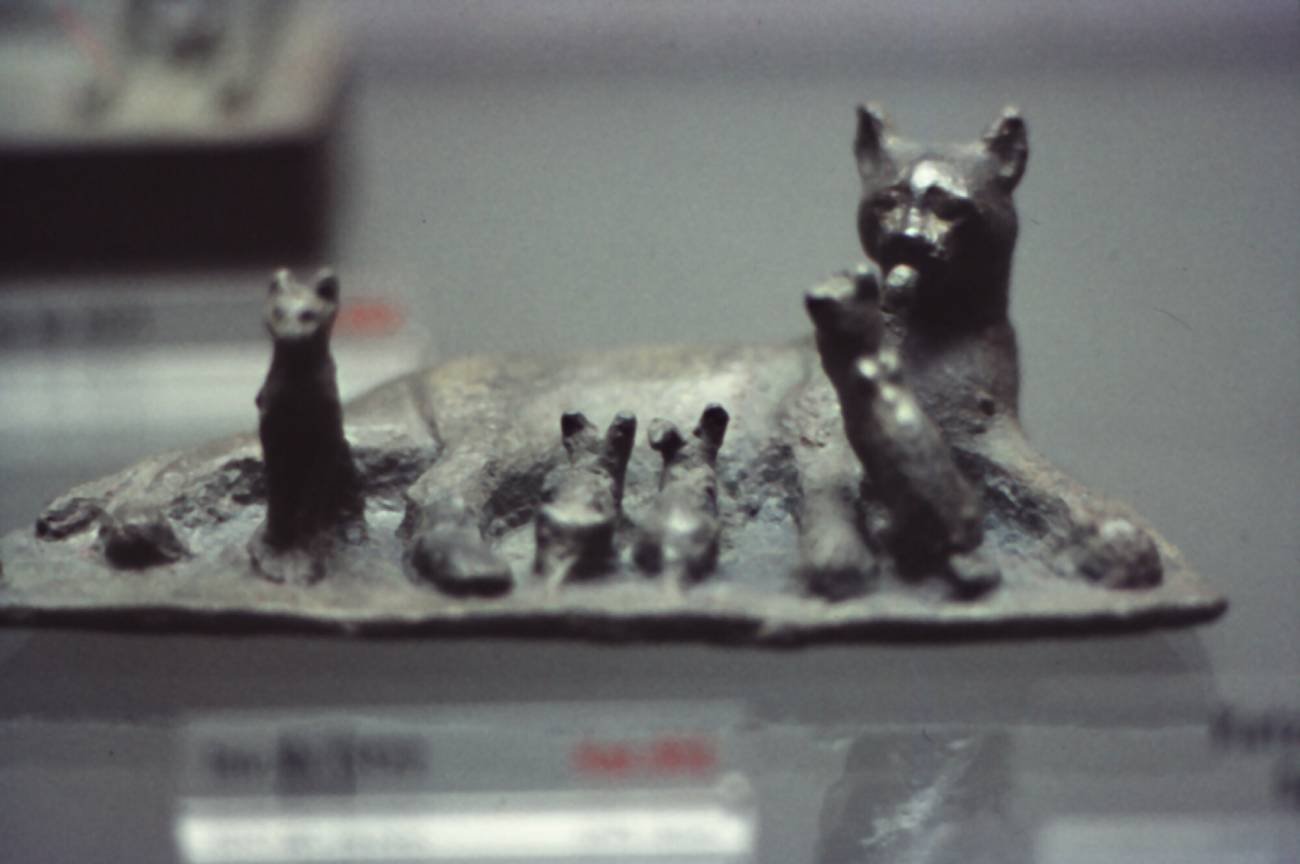 Liczymy koty jak Egipcjanie.