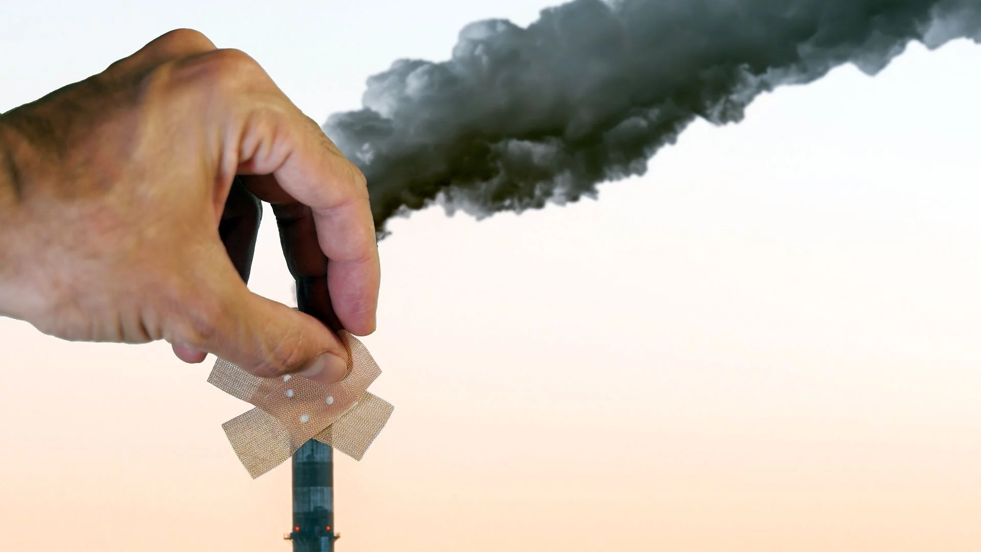 Koniec malowania trawy na zielono. UOKiK uderza: Bolt, Zara i Tchibo mogą stracić miliony