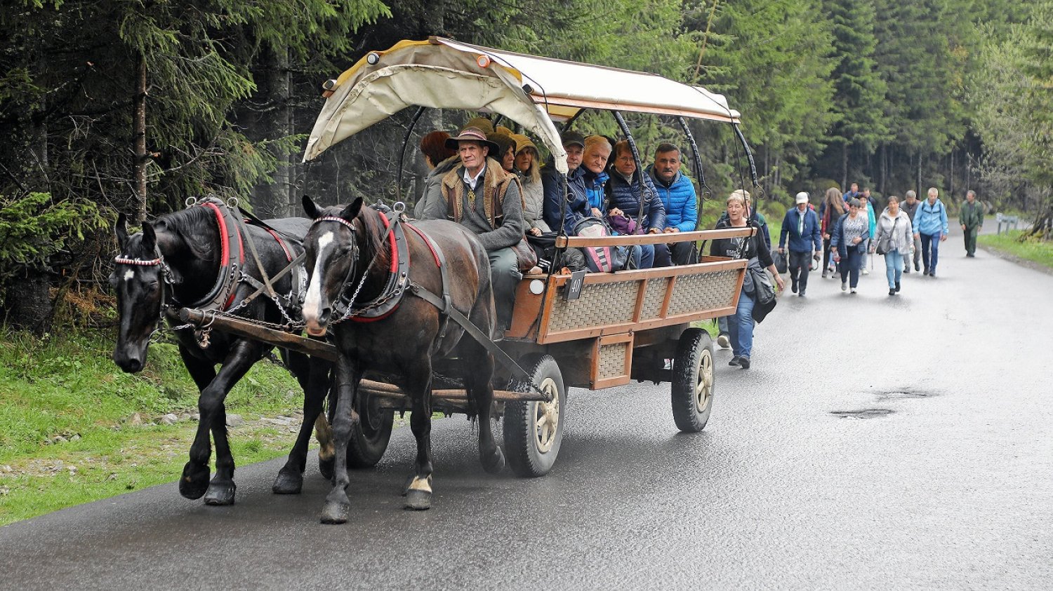 Transport wozem konnym na Morskie Oko.