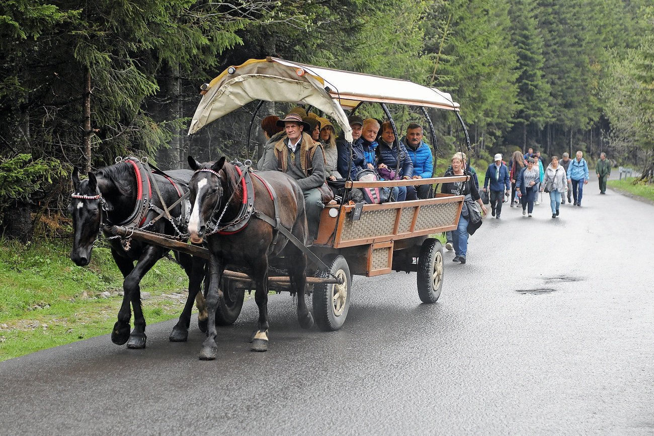 Transport wozem konnym na Morskie Oko.