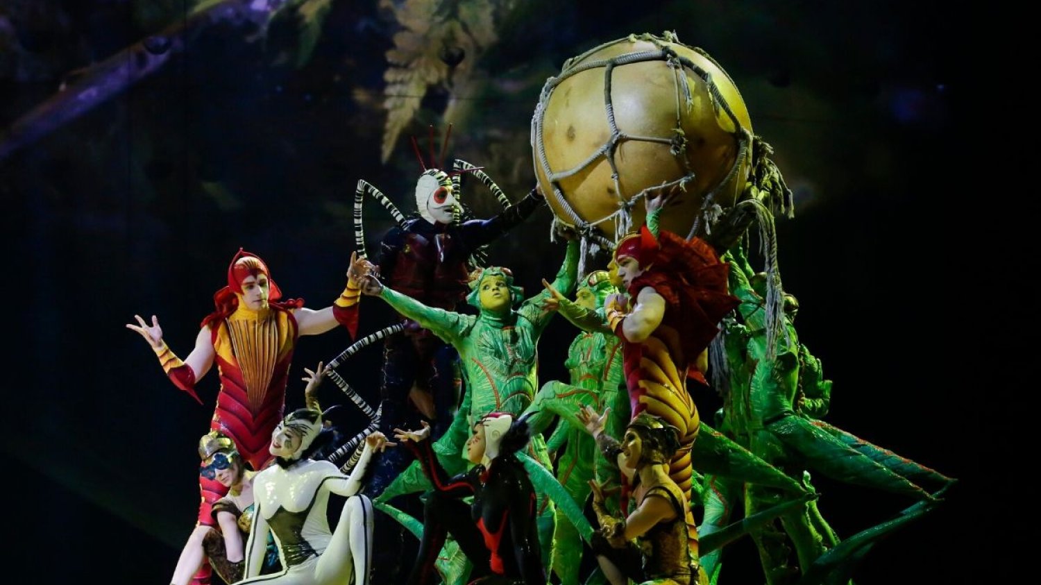 Cirque du Soleil zgłosił wniosek o bankructwo. Nie oznacza to jednak końca marki.