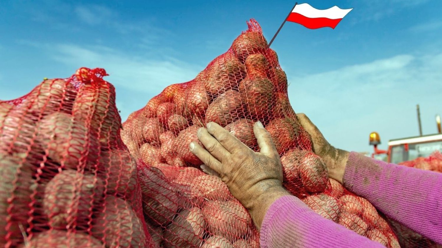 Europa przestała dominować w produkcji ziemniaka, rolę liderów przejęły Chiny z Indiami.