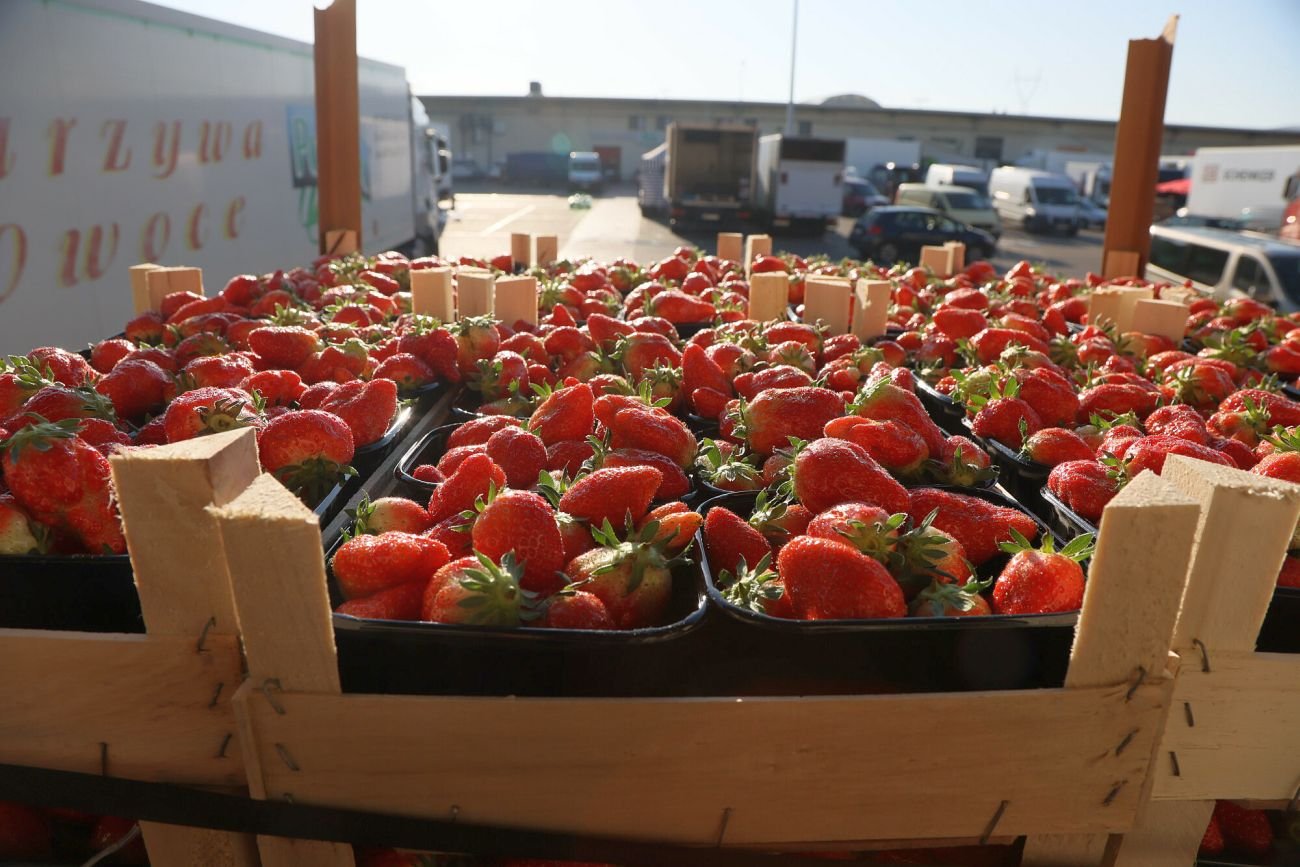 Ceny truskawek szybko spadają. Po majówce czeka nas wysyp tych owoców