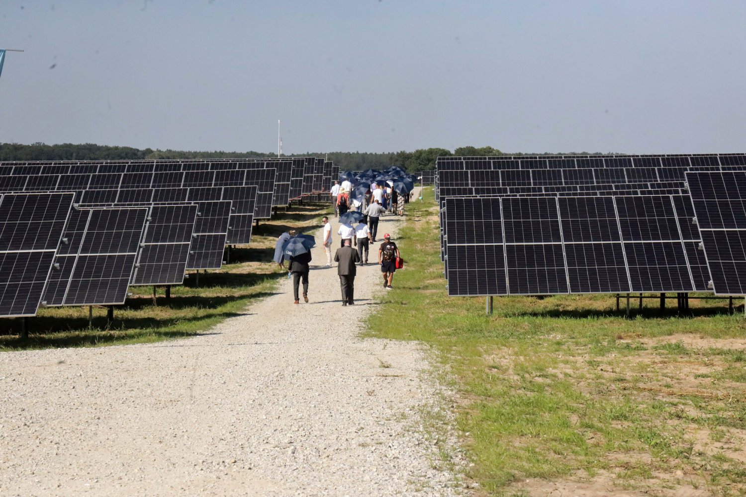 Zmiany w fotowoltaice – rząd podał termin