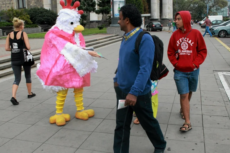 Moda i korzyści, wynikające z posiadania na półce droższego produktu: tak tłumaczą decyzje sieci hodowcy.