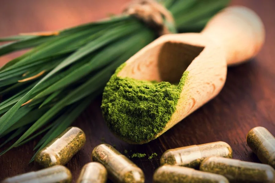Chlorella to glon, którego właściwości odpowiadają błonnikowi zwierzęcemu.