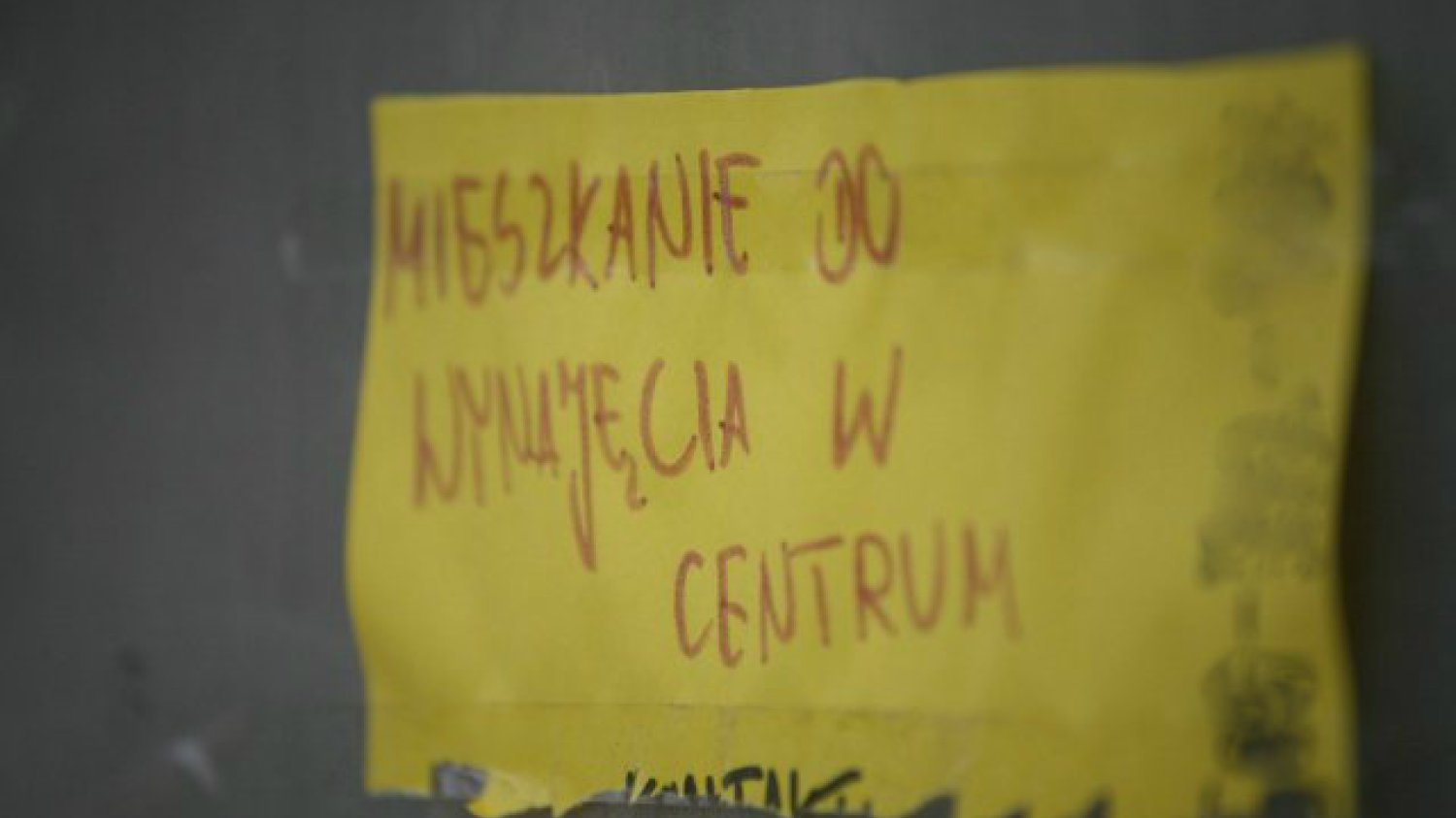 Czy wynajmowanie mieszkań w Airbnb się opłaca?