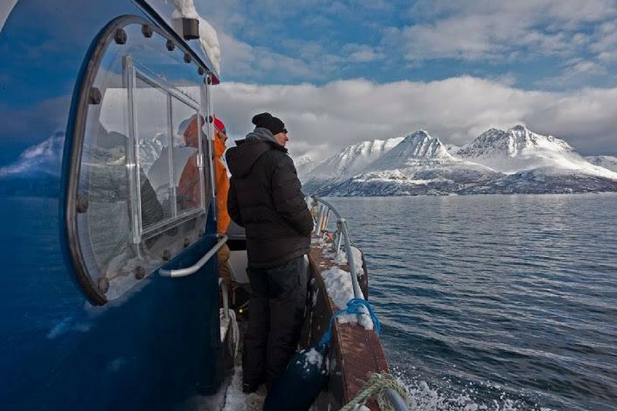 Wyspa Uloya leży na krańcach Norwegii, z ośrodka Polaków do najbliższego urzędu jedzie się dobre trzy godziny.