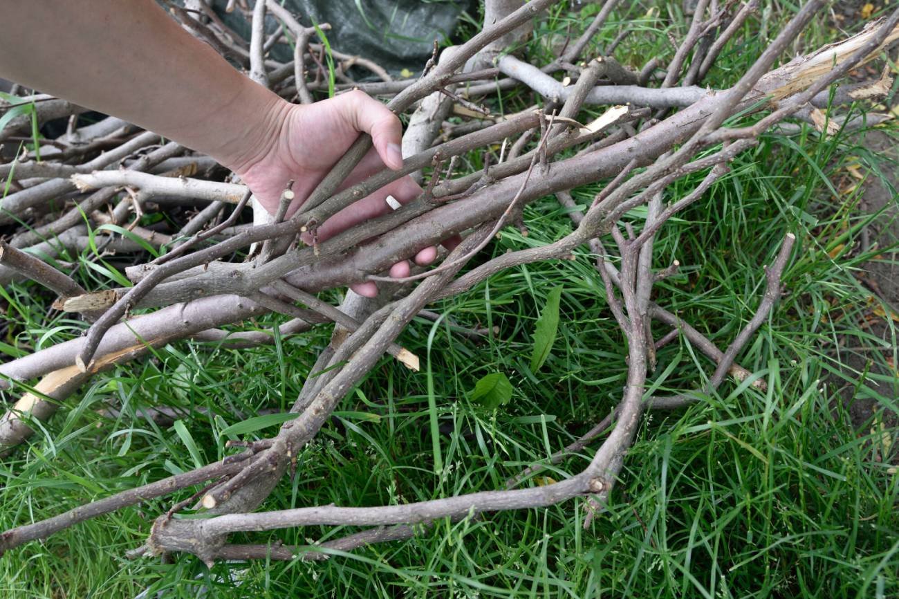 "Chrust plus" , gałęziówka