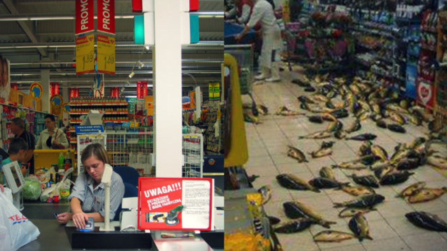 Tyskie Tesco zanotowało dużą wpadkę i to w okresie najbardziej wzmożonej fali zakupów