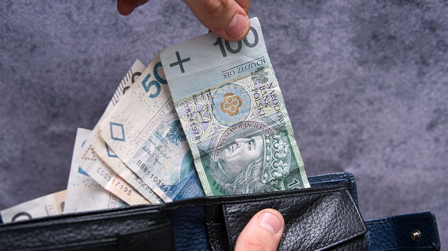 Hamulec zaciągnięty. RPP mówi "pas" i zamraża stopy procentowe pieniądze w portfelu