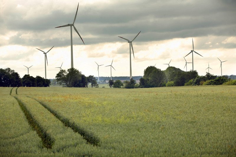 Mieszkańcy i samorządowcy gminy Jedlińsk pod Radomiem protestują przeciwko powstaniu 17 turbin wiatrowych.