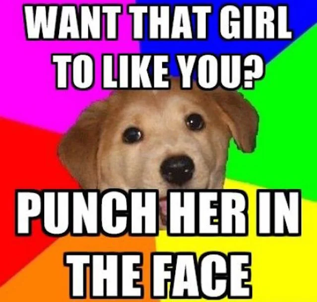 Advice Dog, jeden z pierwszych internetowych memów.