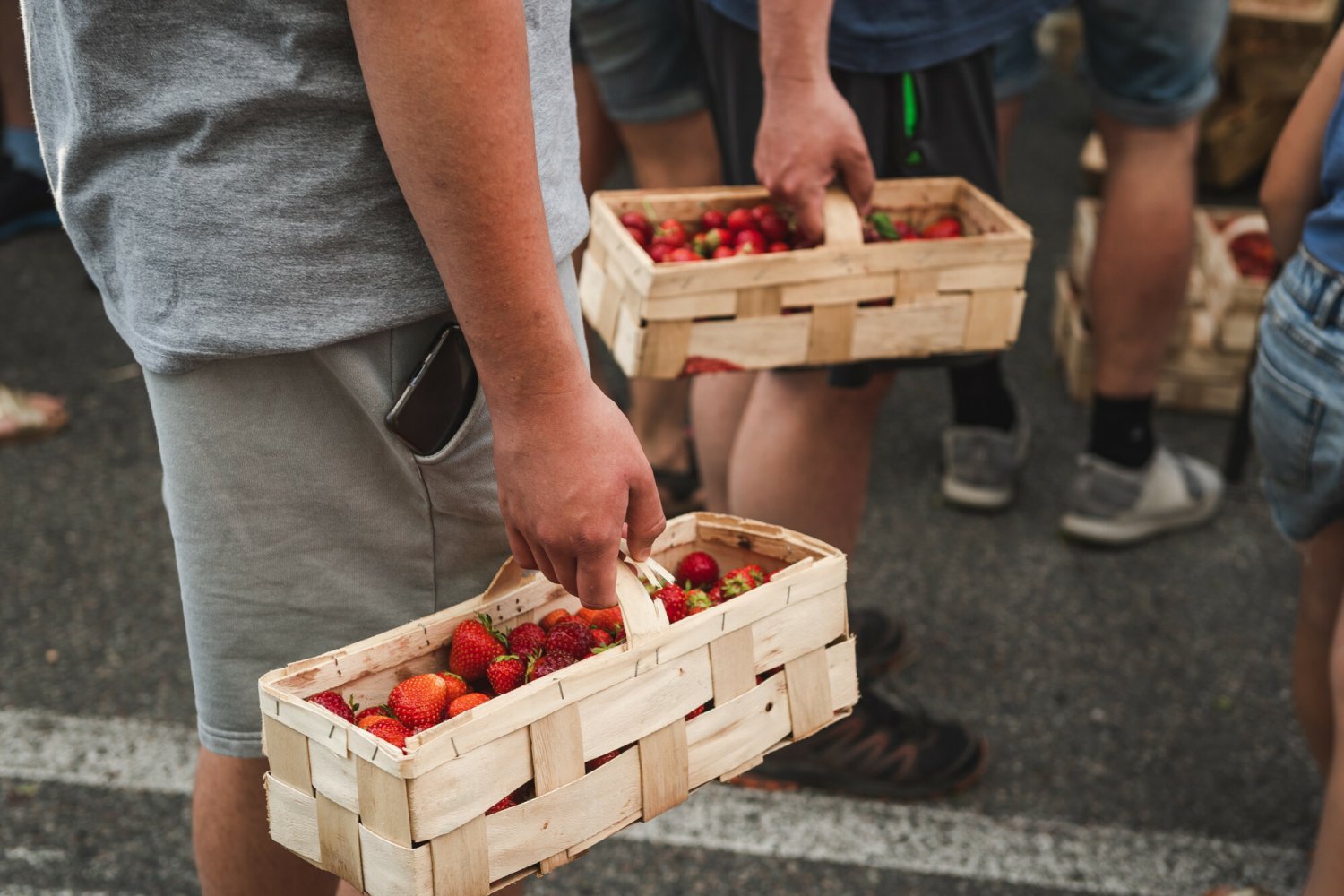 Badanie jakości truskawek – wyniki testu