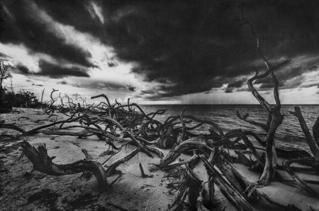 Foto: Stéphane Noël, „Un dia de lluvia”, fotografia w technice gumy dwuchromianowej
