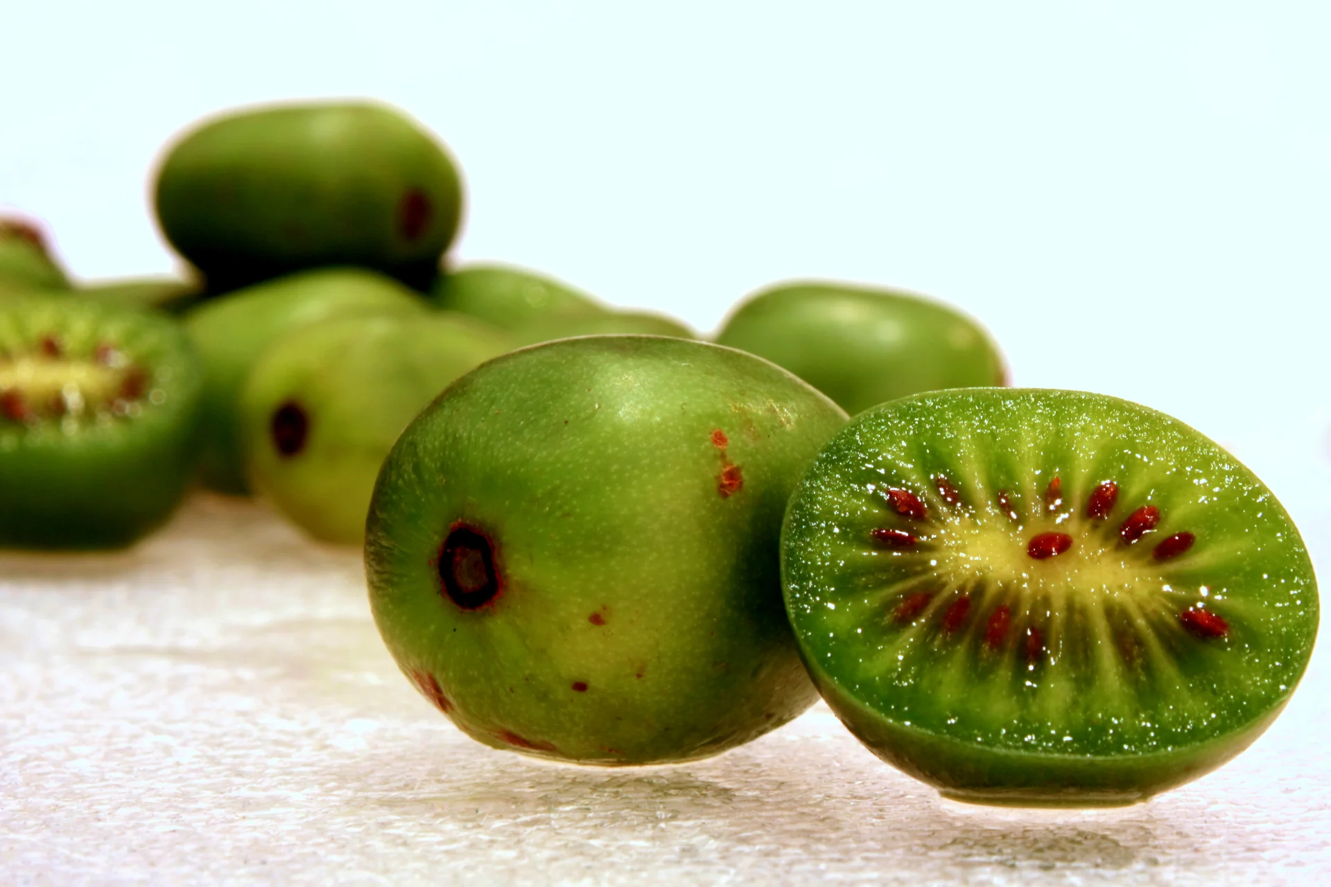 Mini kiwi można z powodzeniem uprawiać w polskich warunkach.