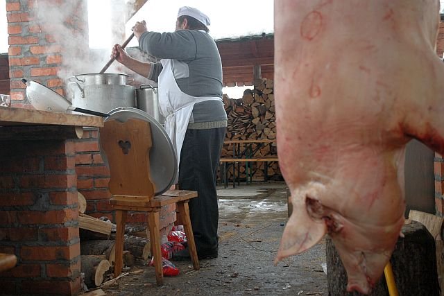 Przez hodowlę zwierząt na rzeź przekroczyliśmy już bezpieczne limity emisji gazów cieplarnianych