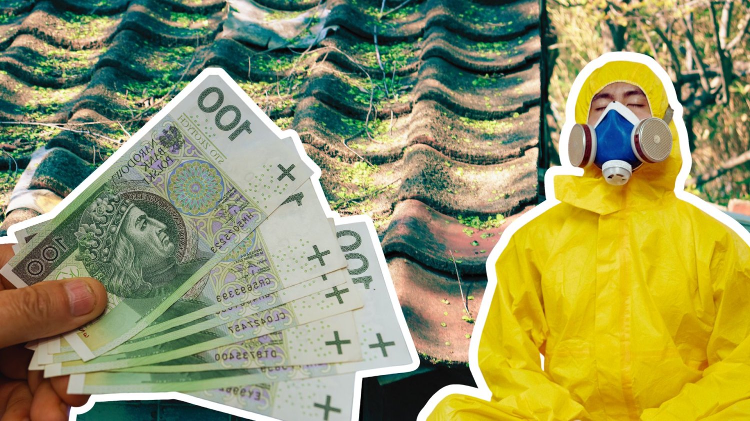Człowiek w ochronnym kombinezonie, ręka z polskimi banknotami, a tle zamszony dach. Nie trzeba będzie zgłaszać azbestu co rok. Rząd znosi uciążliwy obowiązek