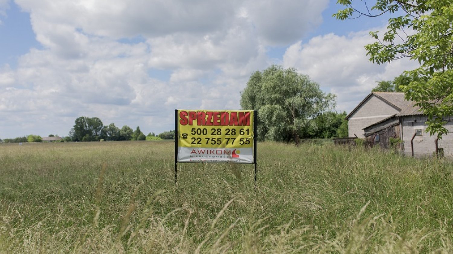 Gmina Baranów. M.in tu ma powstać CPK.