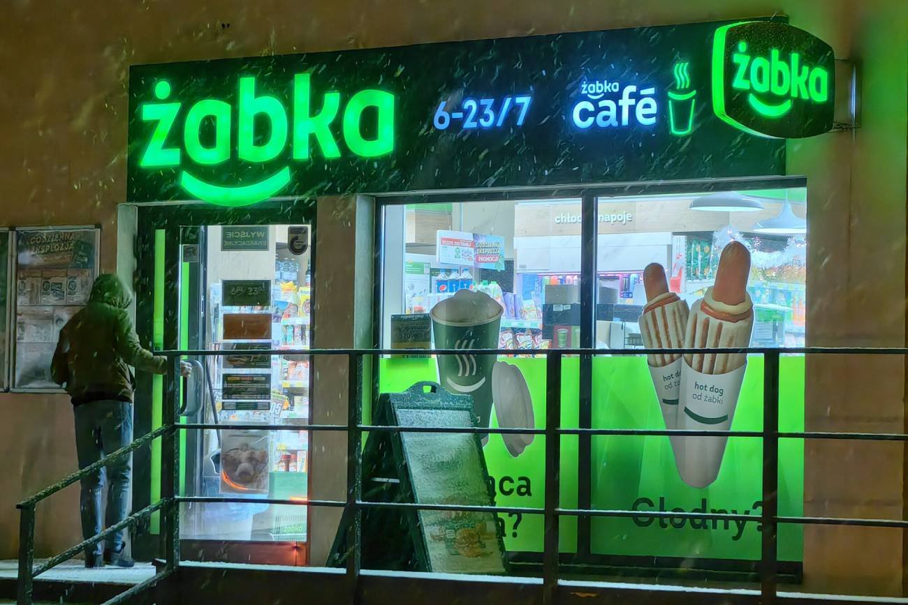 Żabka zimą.