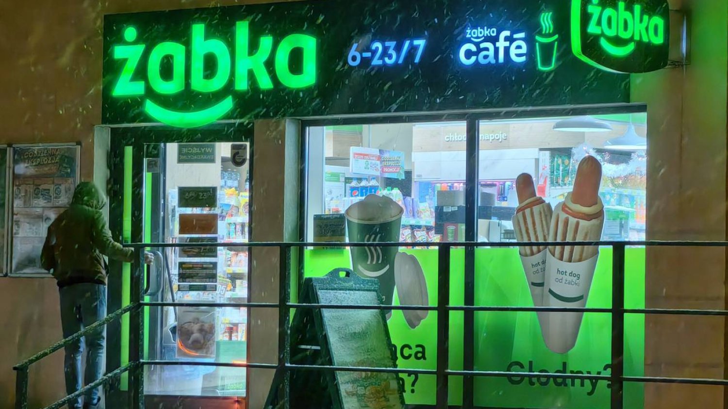 Żabka zimą.