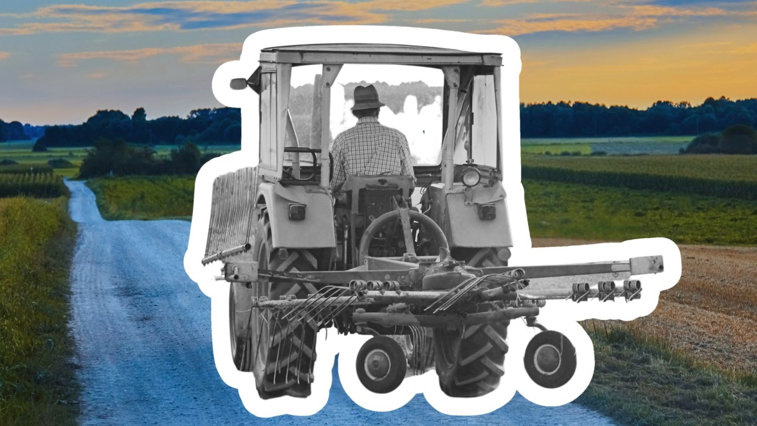 Pułapka 5 hektarów. System dopłat wykreował rolniczy skansen i uśpił inwestycje