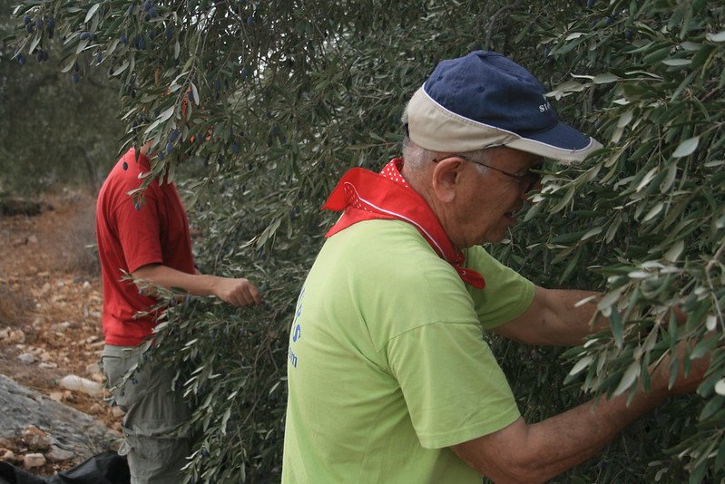 Włosi zaczynają zastępować cudzoziemców w pracach rolnych.