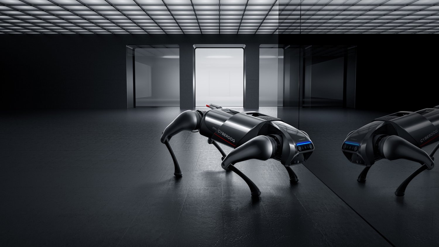 CyberDog