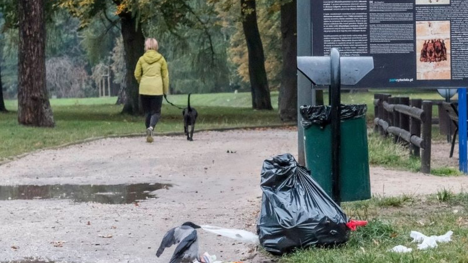 Kara za śmiecenie ma wzrosnąć do 5 tys. zł.