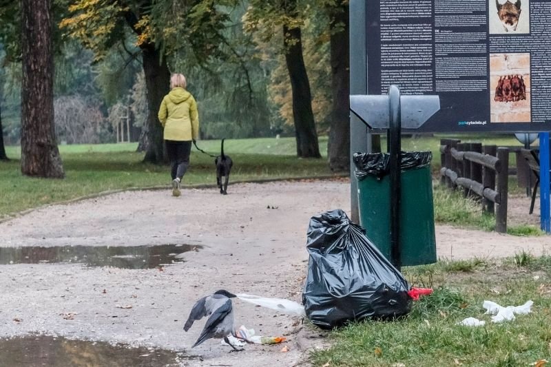 Kara za śmiecenie ma wzrosnąć do 5 tys. zł.