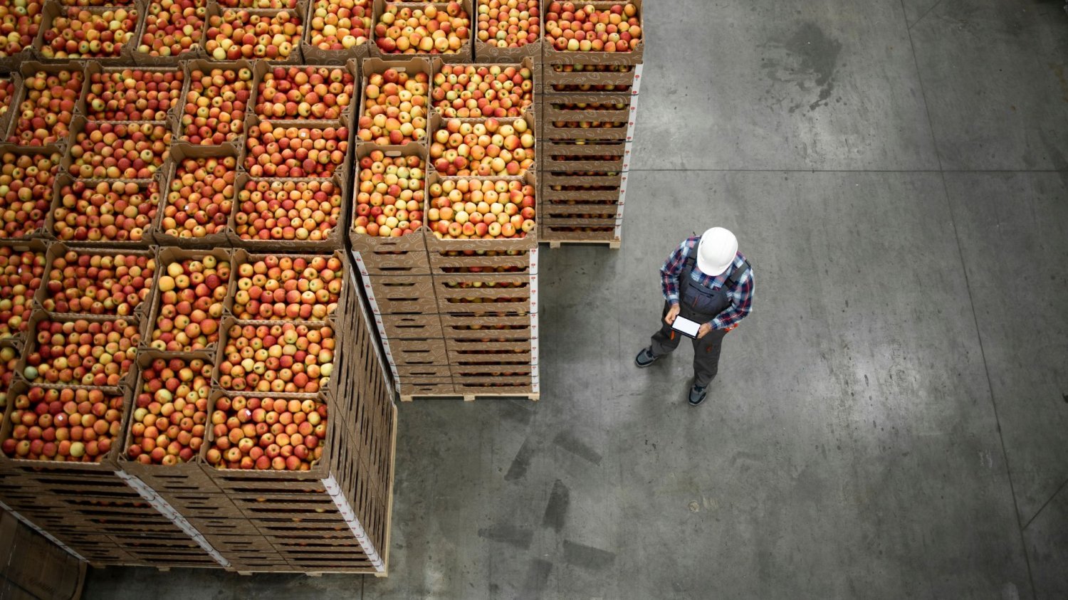 60 mln zł za kluczową przetwórnię na Lubelszczyźnie. Polmlek łata dziurę i przejmuje Kampol-Fruit. Jabłka w skrzynkach. Pracownik fabryki.