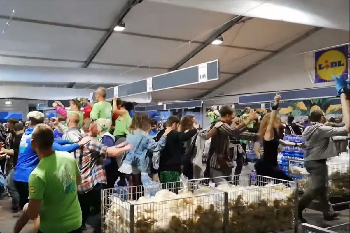 Po ostatnim koncercie na Pol'and'Rock Festivalu impreza przeniosła się do Lidla.