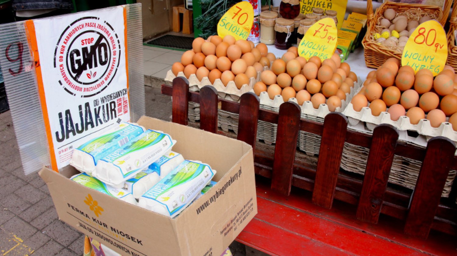 Unia Europejska zatwierdziła przepisy upraszczające zakazywanie upraw GMO.