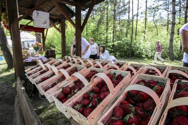 W sprzedaży są już krajowe, tegoroczne truskawki. Kosztują 12 - 19 zł za kilo