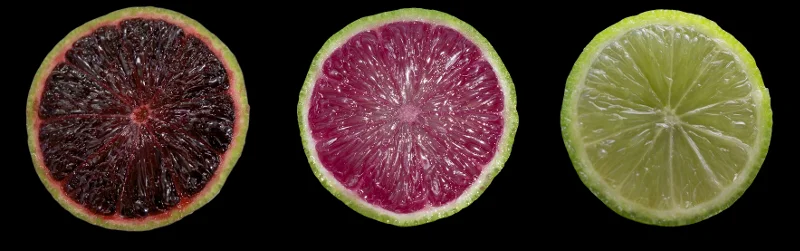 Po lewej limonka z genami winogron, w środku z genami pomarańczy, a po prawej, dla porównania, naturalny owoc.