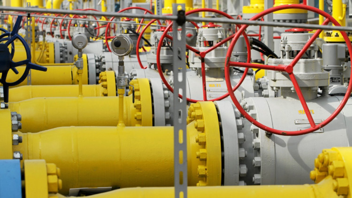 Energa oraz Bank Gospodarstwa Krajowego zamierzają inwestować w innowacyjne start-upy.