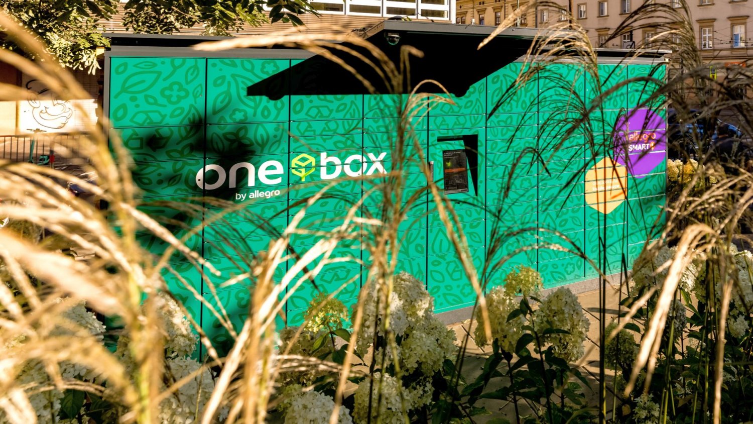 Allegro wchodzi na podwórko Brzoski. Aż dziw, iż wcześniej nie mieli tej opcji