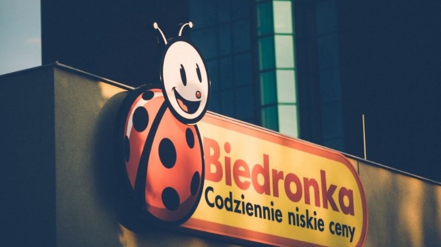 Testy na przeciwciała Covid wyprzedały się w Biedronce praktycznie natychmiast.