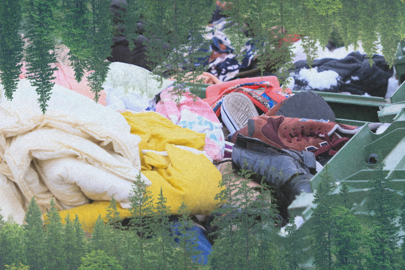 Śmieci między drzewami.