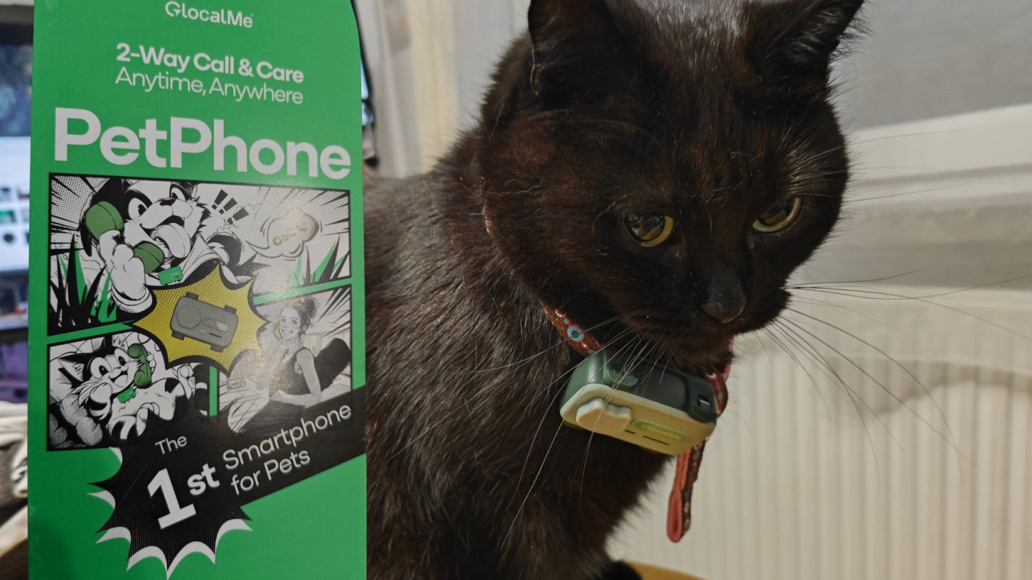 Sprawdziłem smartfon dla zwierząt. Nie u każdego się sprawdzi, ale mnie zaskoczył Moja kotka z PetPhone i broszura. Recenzuję PetPhone od GlocalMe.