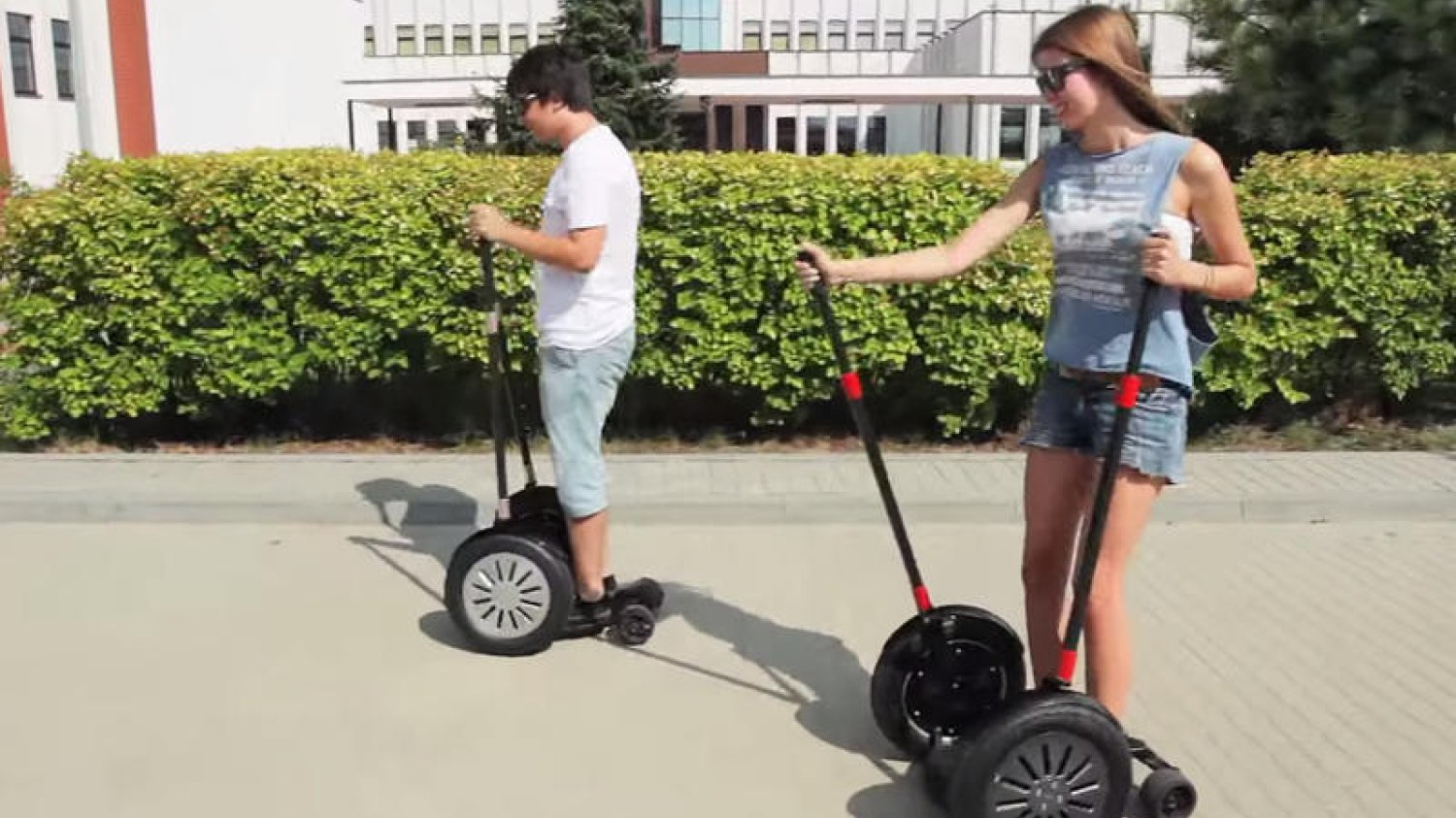 Mechanizm zamienia wahadłowe ruchy dźwigni na jednokierunkowy ruch obrotowy osi koła.
