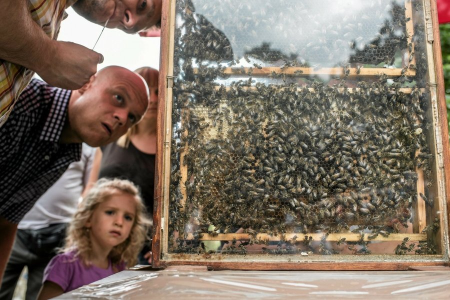 Miód to mieszanka nektaru i pszczelich wymiocin. Ale przynajmniej się nie starzeje.