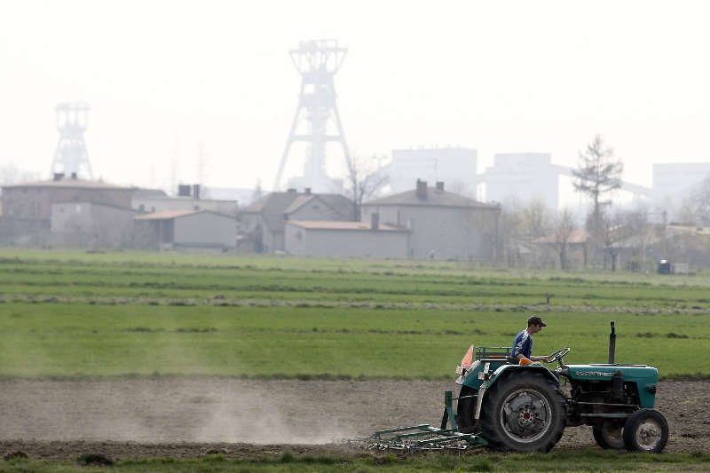 Wystartowała II edycja konkursu NCBR BIOSTRATEG. Na innowacje w rolnictwie i leśnictwie czeka 200 mln złotych